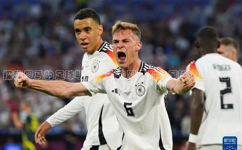 意昂3登陆入口即登录观星盘