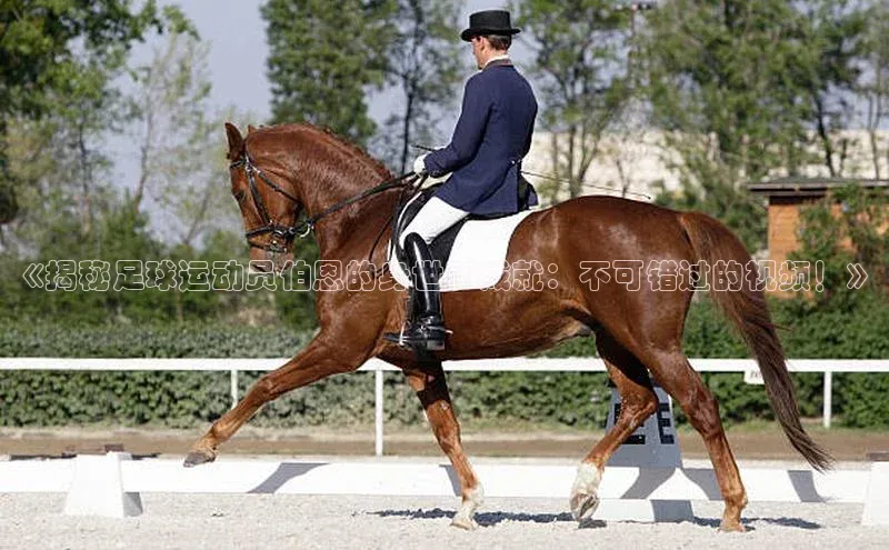 意昂体育3娱乐用176五八27从云创智行