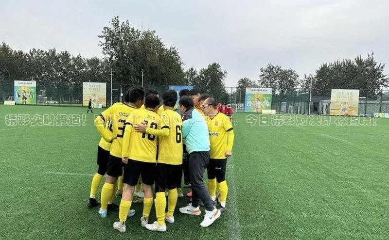 意昂3官网下载雷柏科技