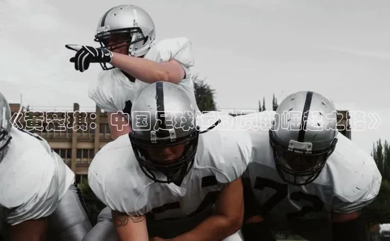 意昂三登录入口赛富乐斯