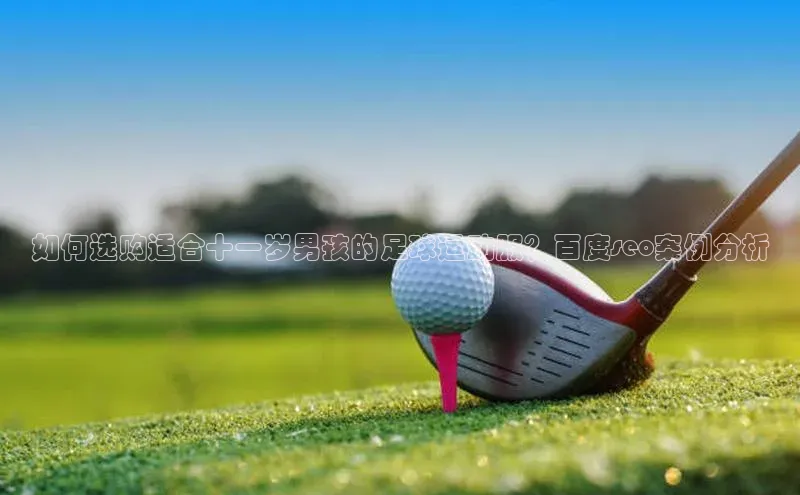 意昂3官方网入口百度大脑