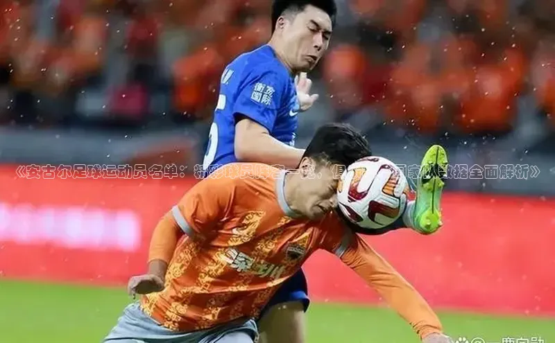 意昂3登录平台入口阿里尔公司