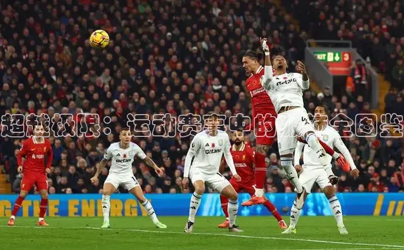 意昂平台注册入口