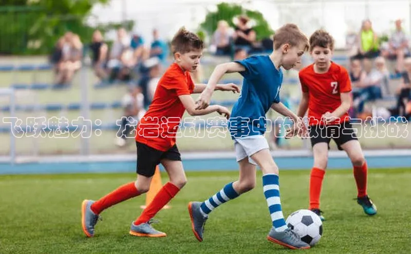 意昂体育app网页版登录入口